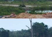 Di Balik Zero Tambang Pangkalpinang: 20 TI Sebu Beroperasi, Nama “Weli” Mencuat, Hukum Diam?