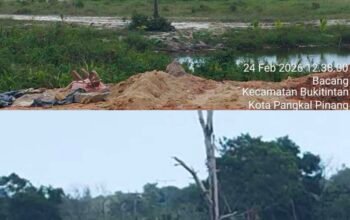 Di Balik Zero Tambang Pangkalpinang: 20 TI Sebu Beroperasi, Nama “Weli” Mencuat, Hukum Diam?